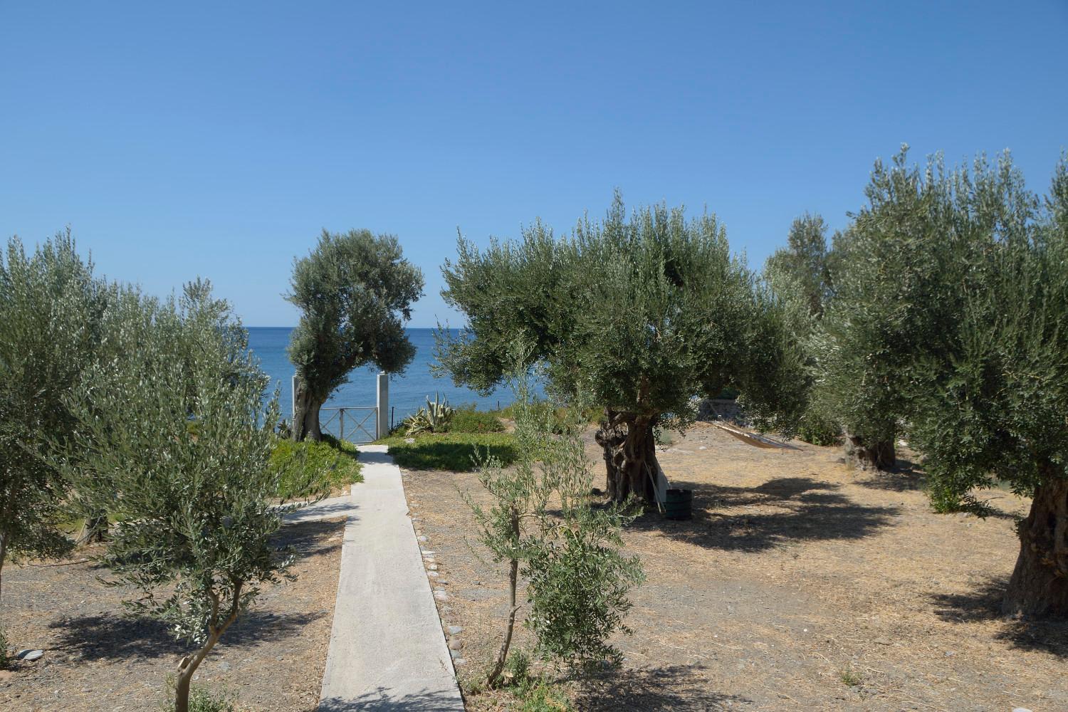 Melinda Holiday House Plomari Exterior photo